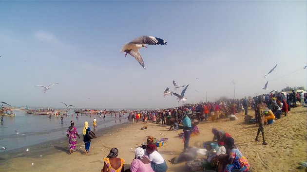 Strand van Tanji