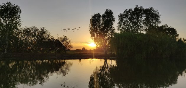 Zonsopgang bij Yellow waters