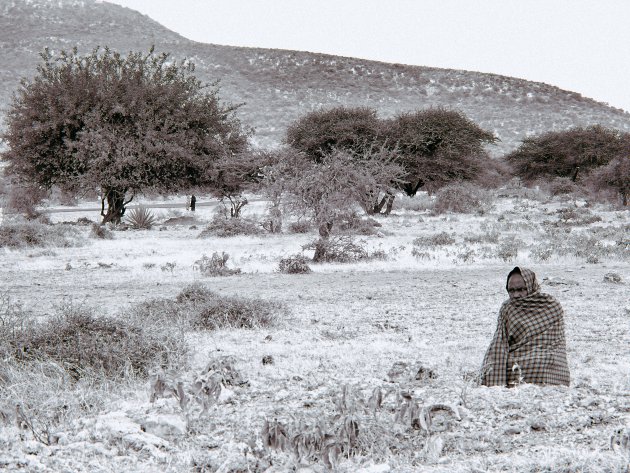 Masai dorp bezoeken