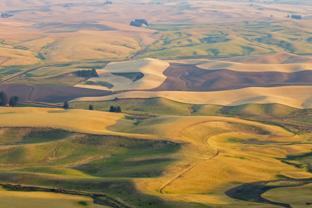 de  Palouse