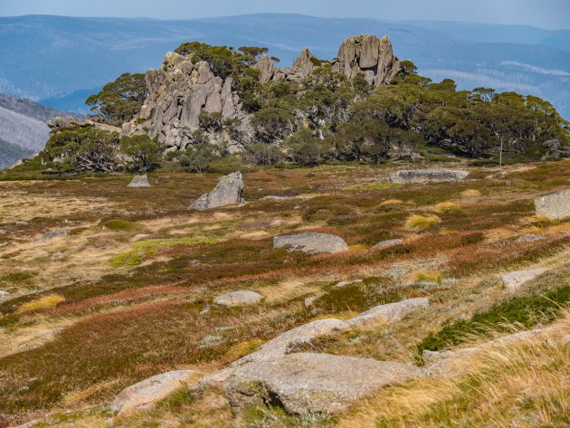 Hoogste bergen Australië