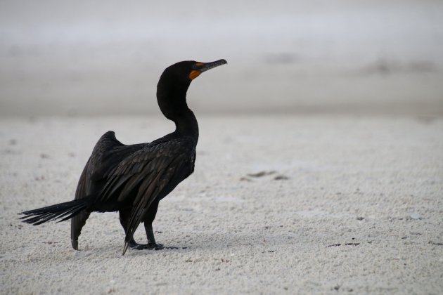 Relax op het strand