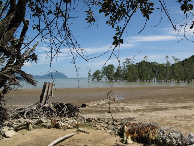 Bako national park