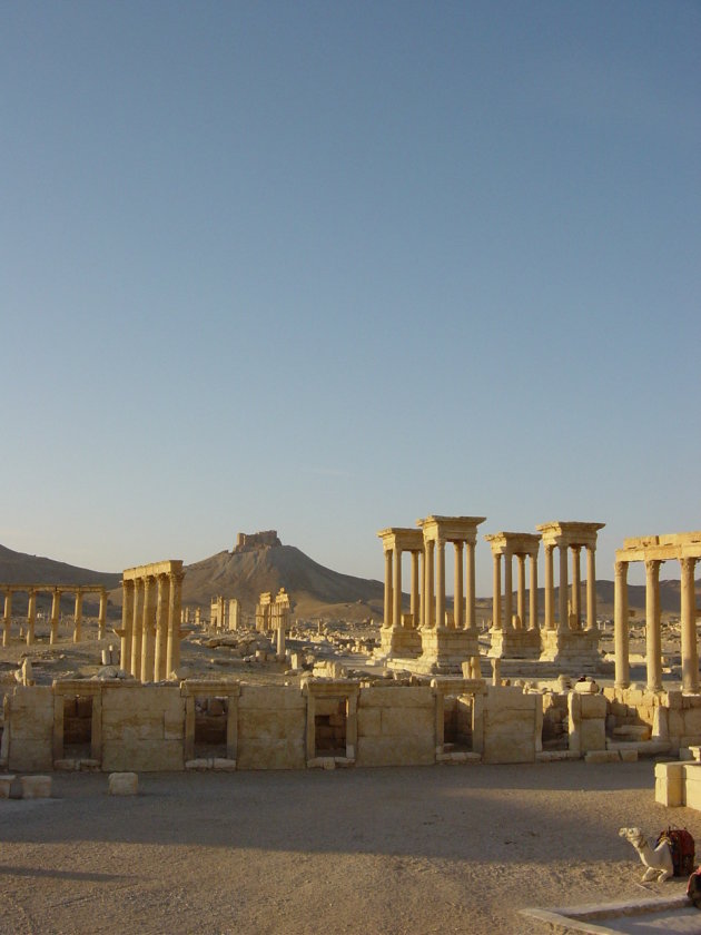 Palmyra