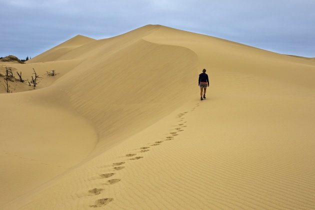 Zandduinen van Oregon