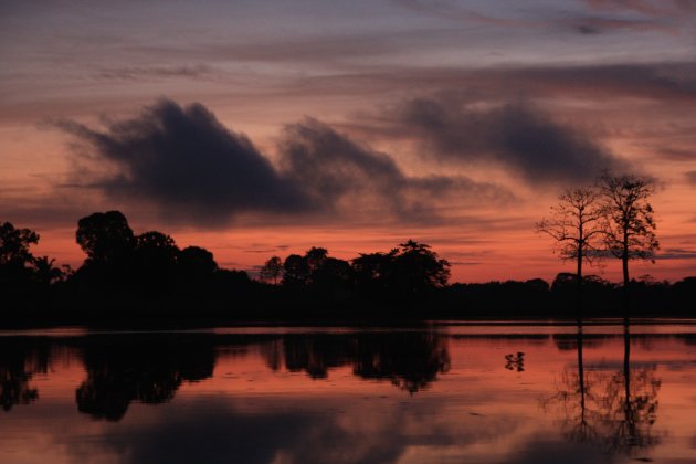 Zonsopgang in de Amazone