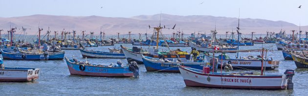 Vissersbootjes bij Paracas