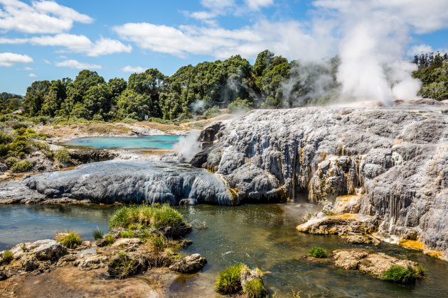 Pohutu Geyser