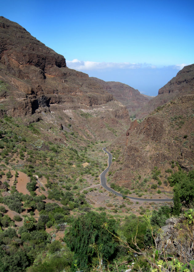 Barranco de Guayadeque