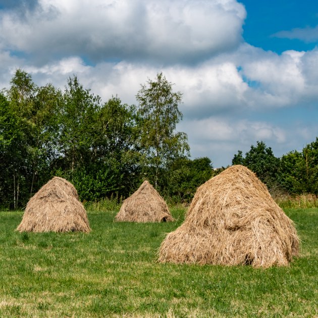 Ode aan hooimijten