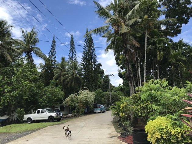 Pacific island life