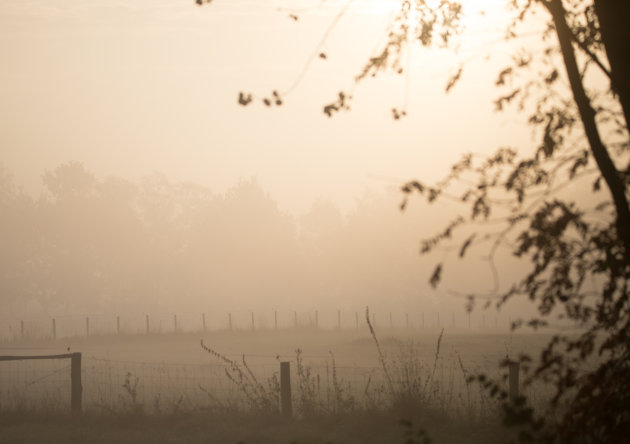 Mist kan zo mooi zijn.