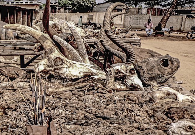 Voodoo markt bezoeken