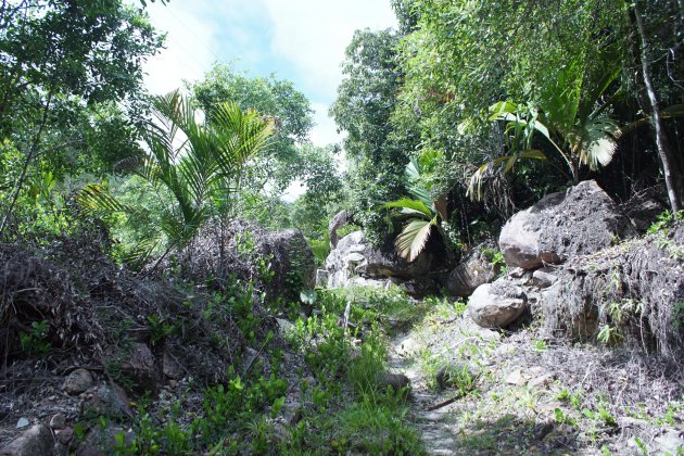 Mooie trail over het eiland