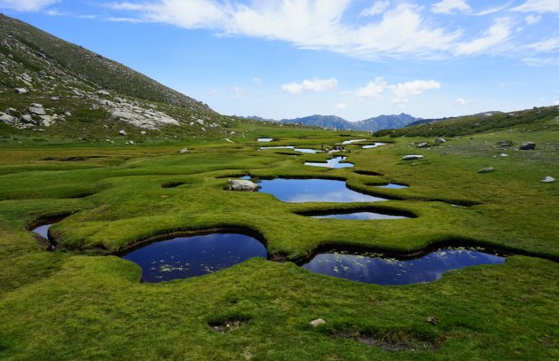 De pozzines van Corsica