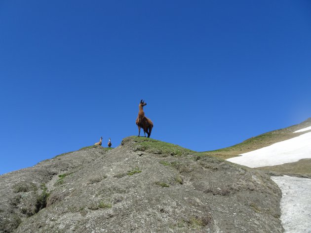 En el mirador