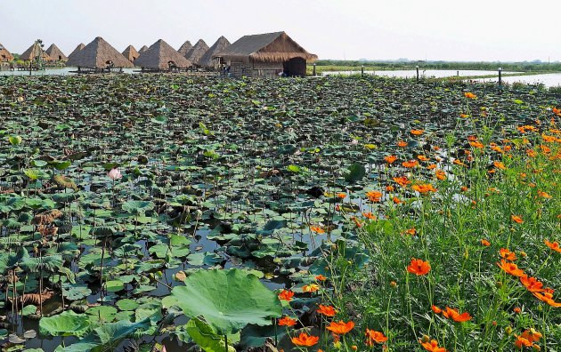 Het grote meer (Tonle Sap)