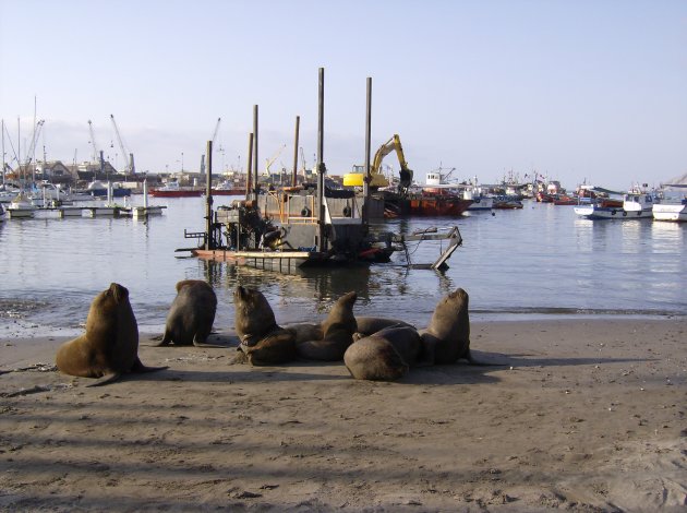 Iquique