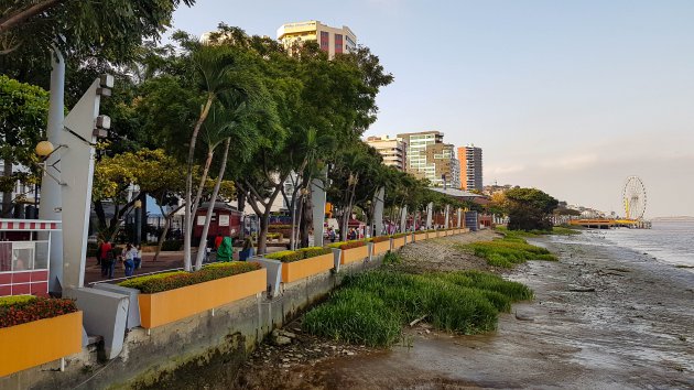 Malecón 2000