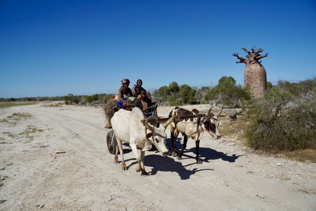 De mooiste wegen van Madagaskar