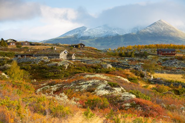 Herfst in Rondane NP