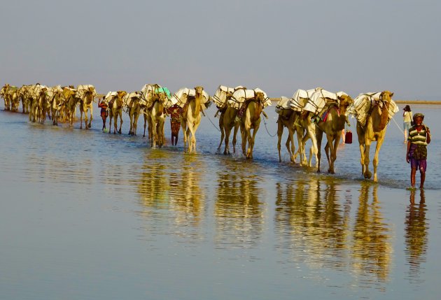 Zout winning in de Danakil