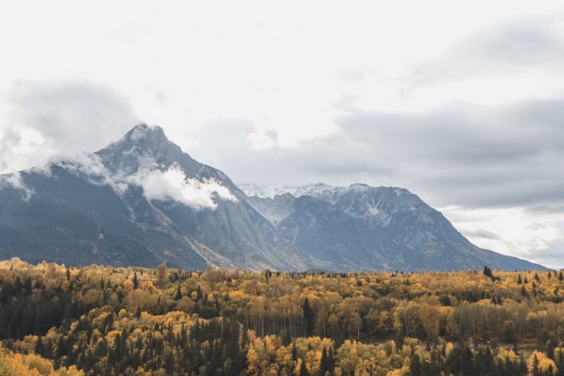 Herfstkleuren