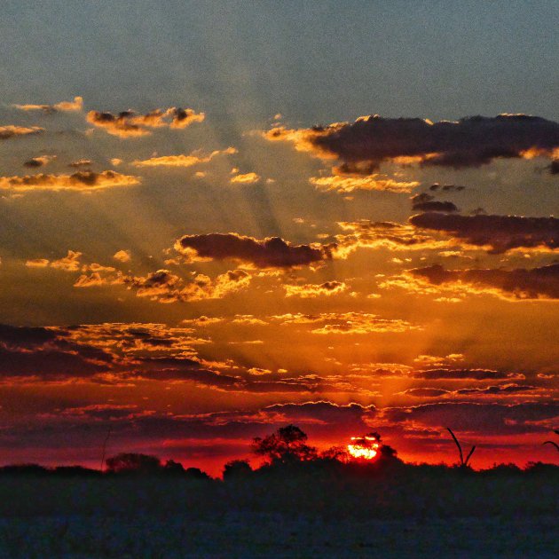 Zonsondergang Savuti