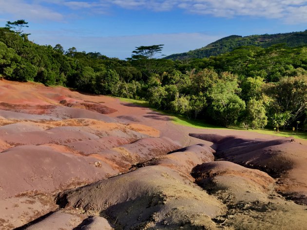 Seven coloured earth