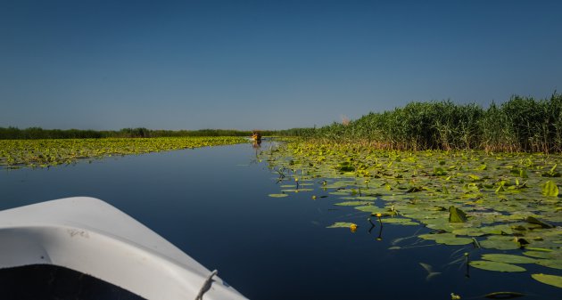 Boottochtje door de delta