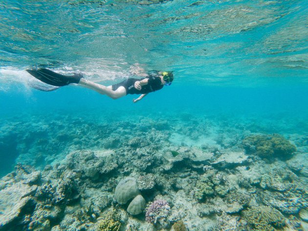 Samen snorkelen op het rif