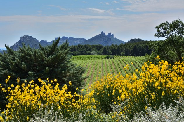 Les Dentelles de Montmirail, parel in de Vaucluse