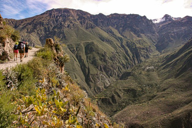 Met de kids door de Colca Canyon