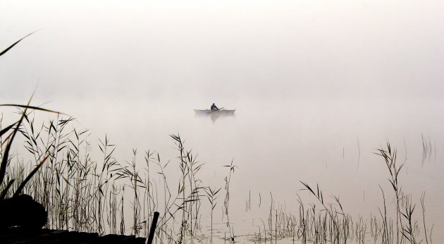 Visser in de mist