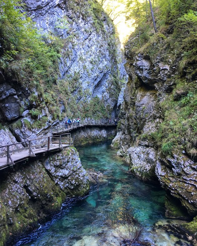 The beauty of the Vintgar Gorge