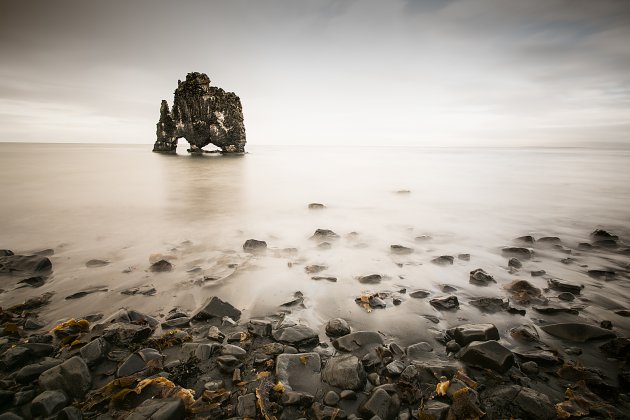 Hvitserkur IJsland