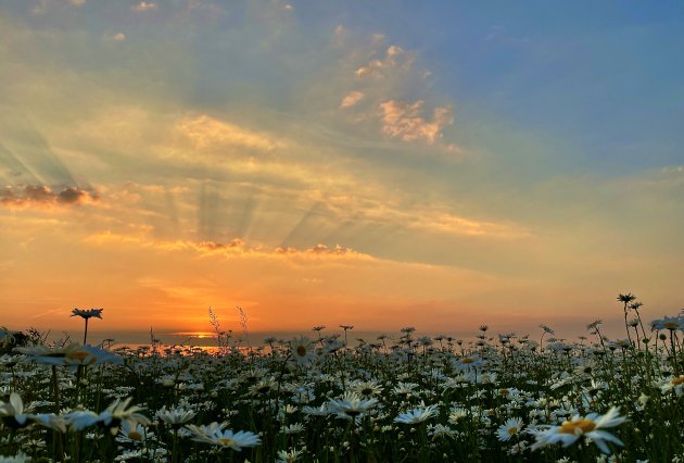 Zonsondergang in eigen land