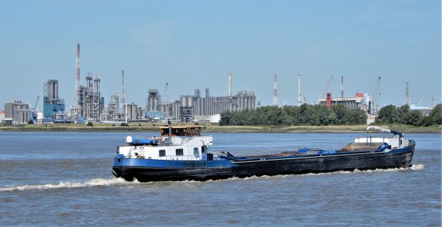 De Bocht van de Schelde