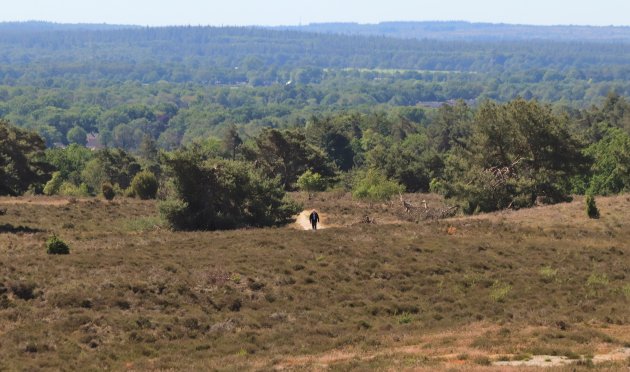 Wandelaar op de Archemerberg