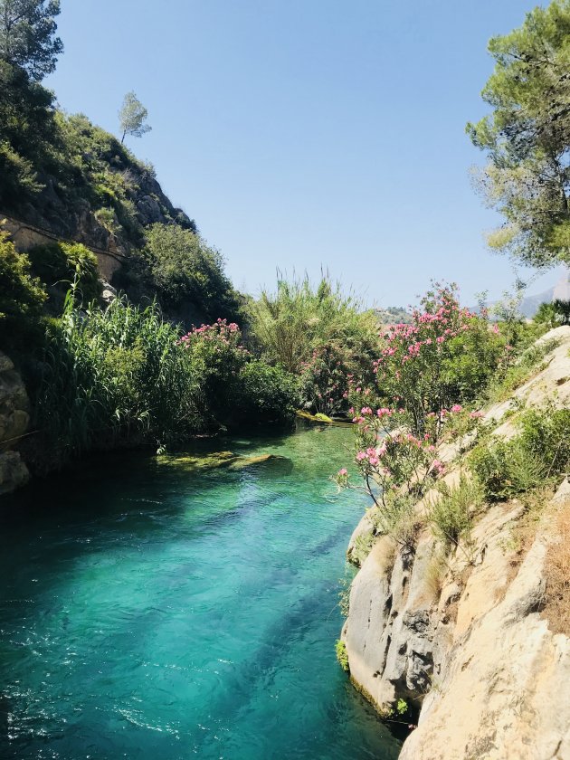 Les fonts de l’Algar