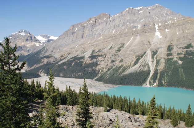 Bijzonder Peyto Lake