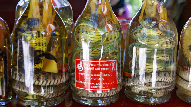 Snake wine: gezond drankje