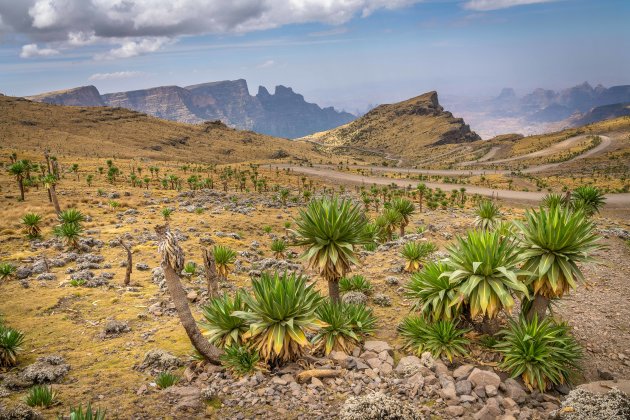 Simien mountains NP