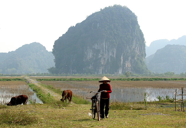 fietsen in Tam Coc