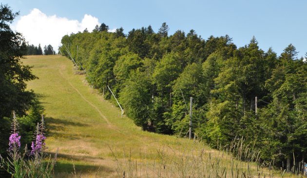 De groene piste