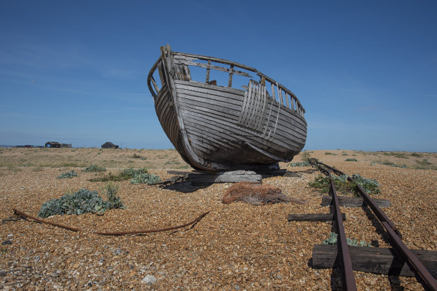 Dungeness