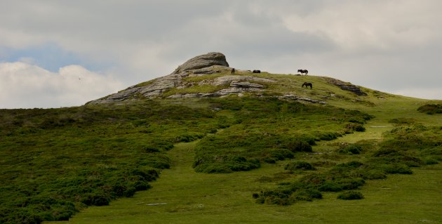 Dartmoor National Park