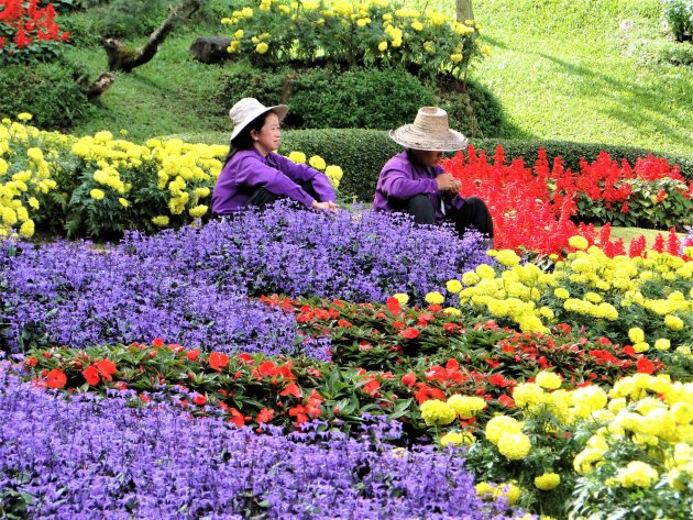 Rustpauze tussen de bloemen perken.