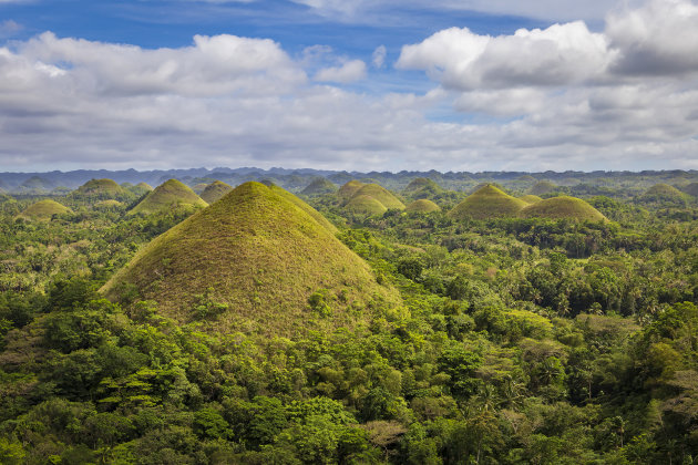 Chocolate Hills