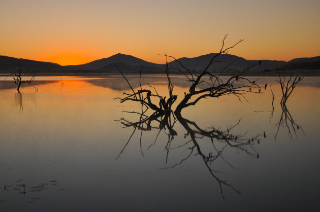 Verrassend Pilanesberg